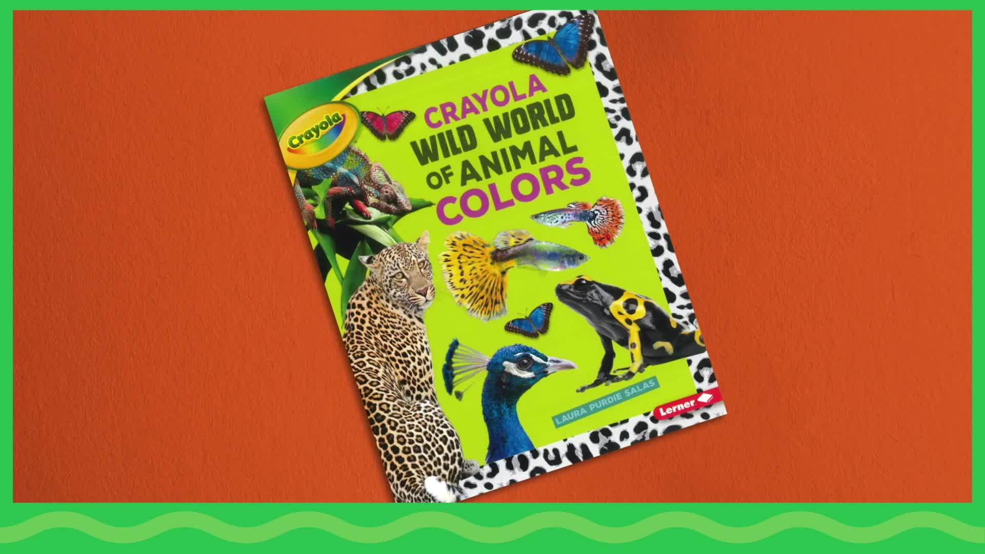Colorful world of animals